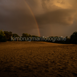 Landschap