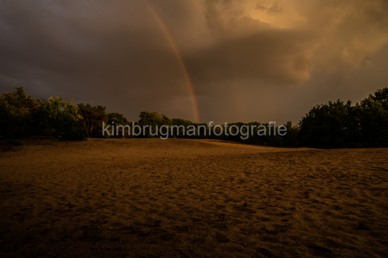 Landschap